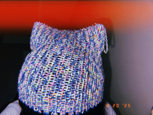 Multicolored Cat Ear Beanie